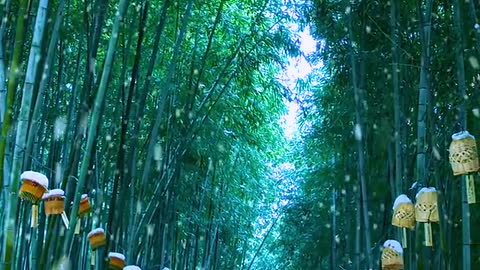 The falling snow is green,