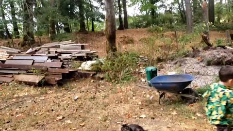 Old Ford Truck Hoard in my Backyard on Vancouver Island