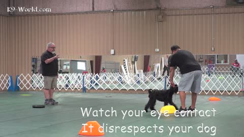 Eric Salas Dog Training Workshop Houston Texas