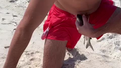 Fish can fight #fishing #panamacitybeach #foryoupage #fish #comedia