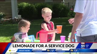 June 23, 2024 - Indiana Boy Opens Lemonade Stand to Raise Money for a Service Dog