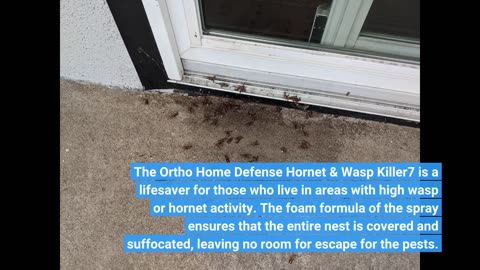 Buyer reviews : Ortho Home Defense Hornet & Wasp Killer7