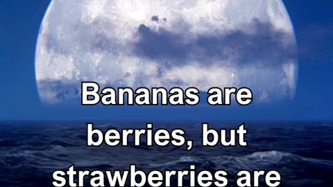 Bananas are berries, but strawberries are not.