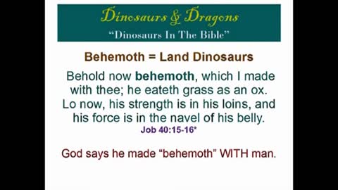 Dinosaurs In The Bible