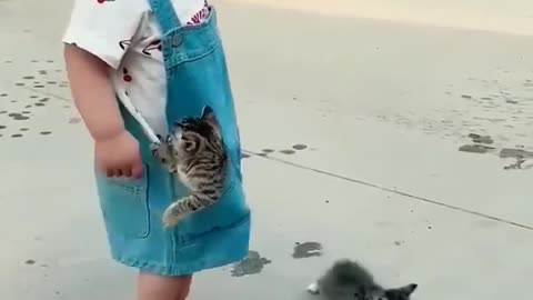 Cute baby with cats