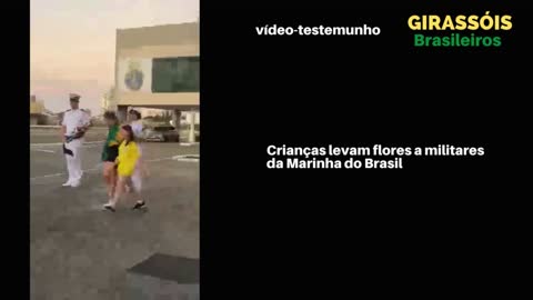 Girassóis Brasileiros, vídeo-testemunho