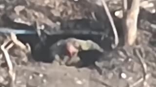 🛸 Ukraine Russia War | FPV Kamikaze Drone Injures Russian Soldier in Dugout (TERRA Unit, 3rd A | RCF