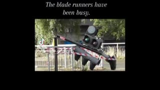 London: The Blade Runners have had another successful night