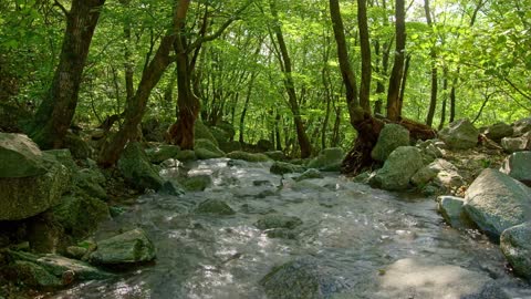 One day 1 minute nature cinematic