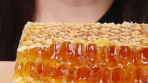 Raw HoneyComb, Honey Jelly #zoeyasmr #zoeymukbang #bigbites #mukbang #asmr #food #먹방 #틱톡푸드 #rawhoney