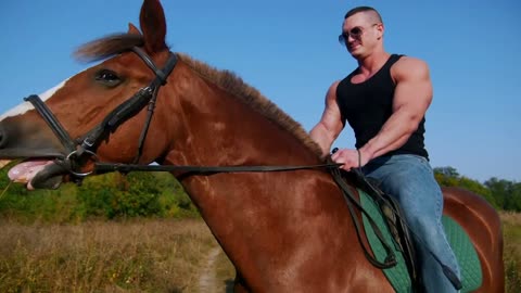 Beautiful muscular man sitting on a beautiful horse in the summer in the middle of the field