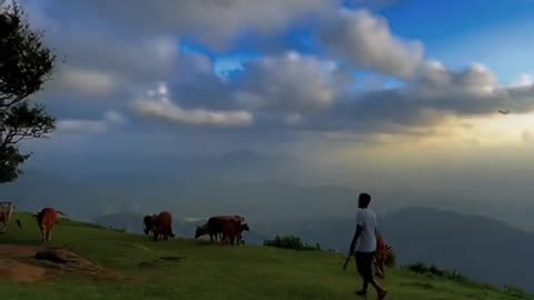 Traveling Video l Natural Environment | Sri Lanka Place 🌏