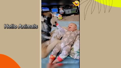 New Funny Cats and Dogs Videos 2023🤣 Funniest Animals Videos🐱🐶 part 3