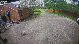 Amazon Driver Runs Over Package He Just Delivered