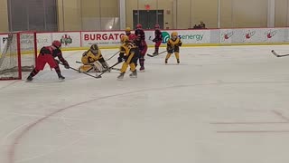 Pens elite action with Z