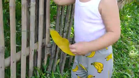 Baby Funy Playing in garden | Aisya baby