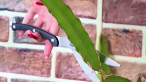 These gardening hacks totally worth your attention!