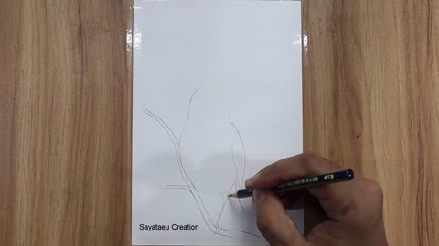 How to draw a Bird Scenery with pencil step by step, Pencil Drawing for beginners