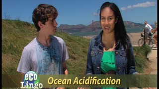 Eco-Lingo: Ocean Acidification