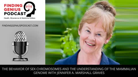 The Behavior of Sex Chromosomes and the Understanding of the Mammalian Genome