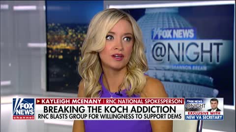 RNC Spokeswoman Warns Donors To Stay Away From The Koch Brothers