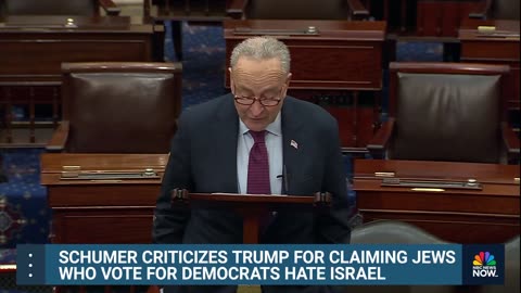 Schumer is only running interference for the Democrat party.