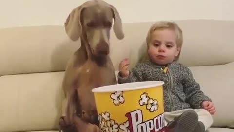 Dogs that share food with babies