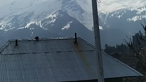 Kasol