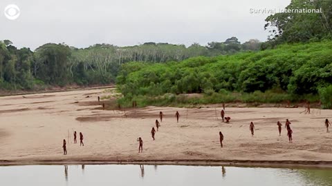 Video shows reclusive tribe searching for food on beach in the Amazon| Nation Now ✅