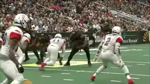 2019 Arizona Rattlers get screwed out of a perfect season