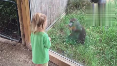 FORGET CATS! Funny KIDS vs ZOO ANIMALS are WAY FUNNIER! - TRY NOT TO LAUGH ll PART~4