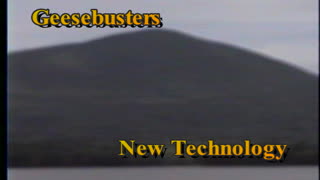 Geesebusters.com Eagle flies over Ashokan Reservoir in Upstate New York
