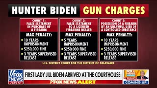 Hunter Biden incriminated himself Gregg Jarrett