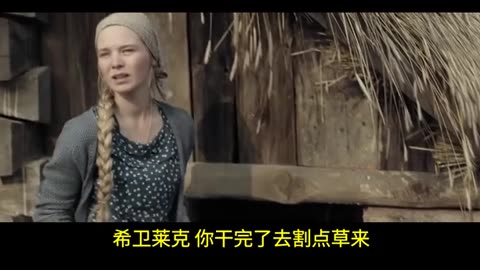 波兰电影 【沃伦】（2016）中文字幕