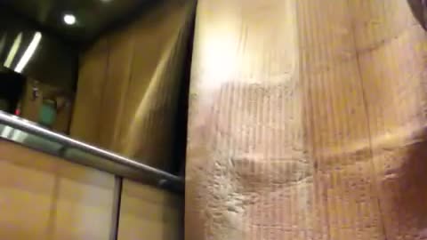 Owned in a hidden camera elevator prank