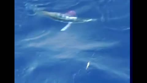 fishing for a Marlin (trying)