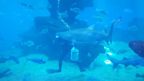 Aquarium Palma De Mallorca, Balearic Islands, Spain