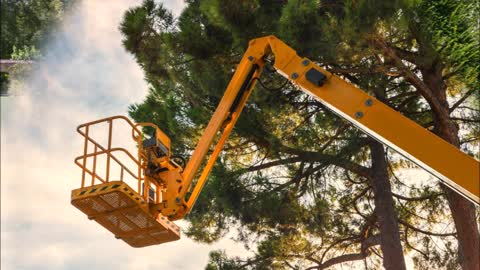 Michael's Construction and Tree Removal - (678) 568-7524
