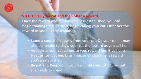 How to train your cat/pets
