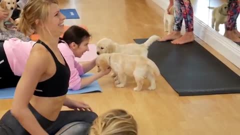 Puppy Yoga Classes by Pets Yoga