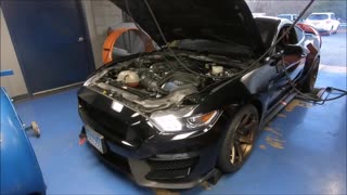 GT350 Dyno Pull - Best sound ever!