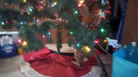 Bengal Cat Tries To Take Down The Tree