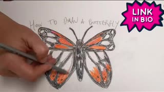 Butterfly Drawing Easy Guide