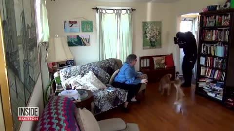 Dog tested to see whether,if it can defend owner during intruders