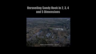 UNRAVELING SANDY HOOK