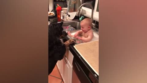 Funny Babies Playing with Dogs Compilation - Funny Baby and Pets
