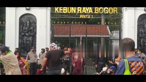 Bogors Culturalists Protest The Night Tour In Bogor Botanical Gardens