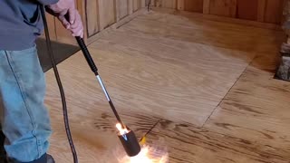 Tiger torching a new floor