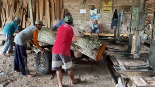 What’S Hidden In This Log ! Mahogany Wood Will Change Our Live Forever