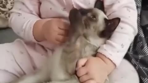 girl loves cat